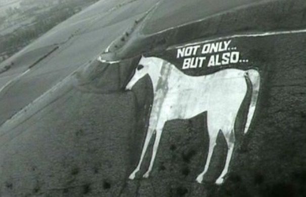 Not only horse
